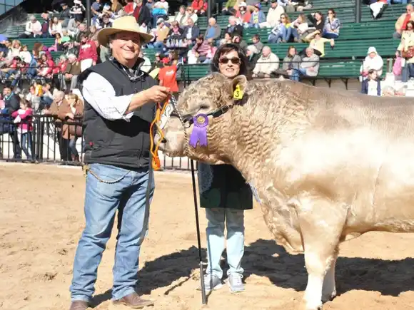 Un productor que piensa distinto: Sergio Dezorzi y el real estate con ADN
agropecuario