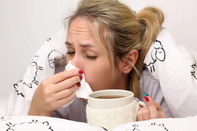 Evita virus e infecciones con estos consejos que fortalecen tu sistema inmunológico