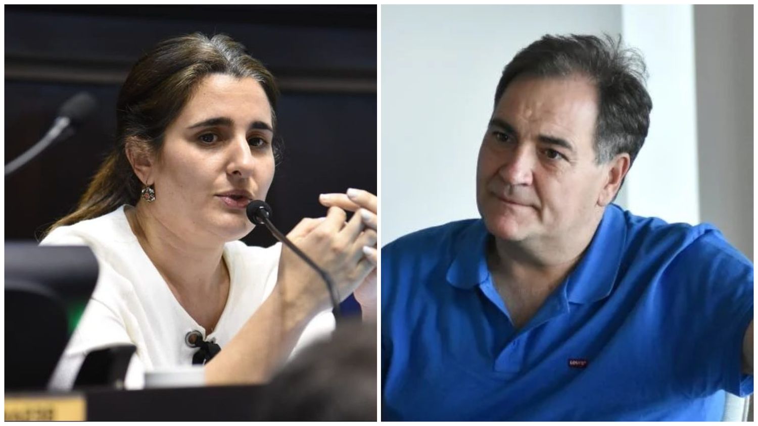Maricel Etchecoin reclamó la presencia de Alonso en la Legislatura.