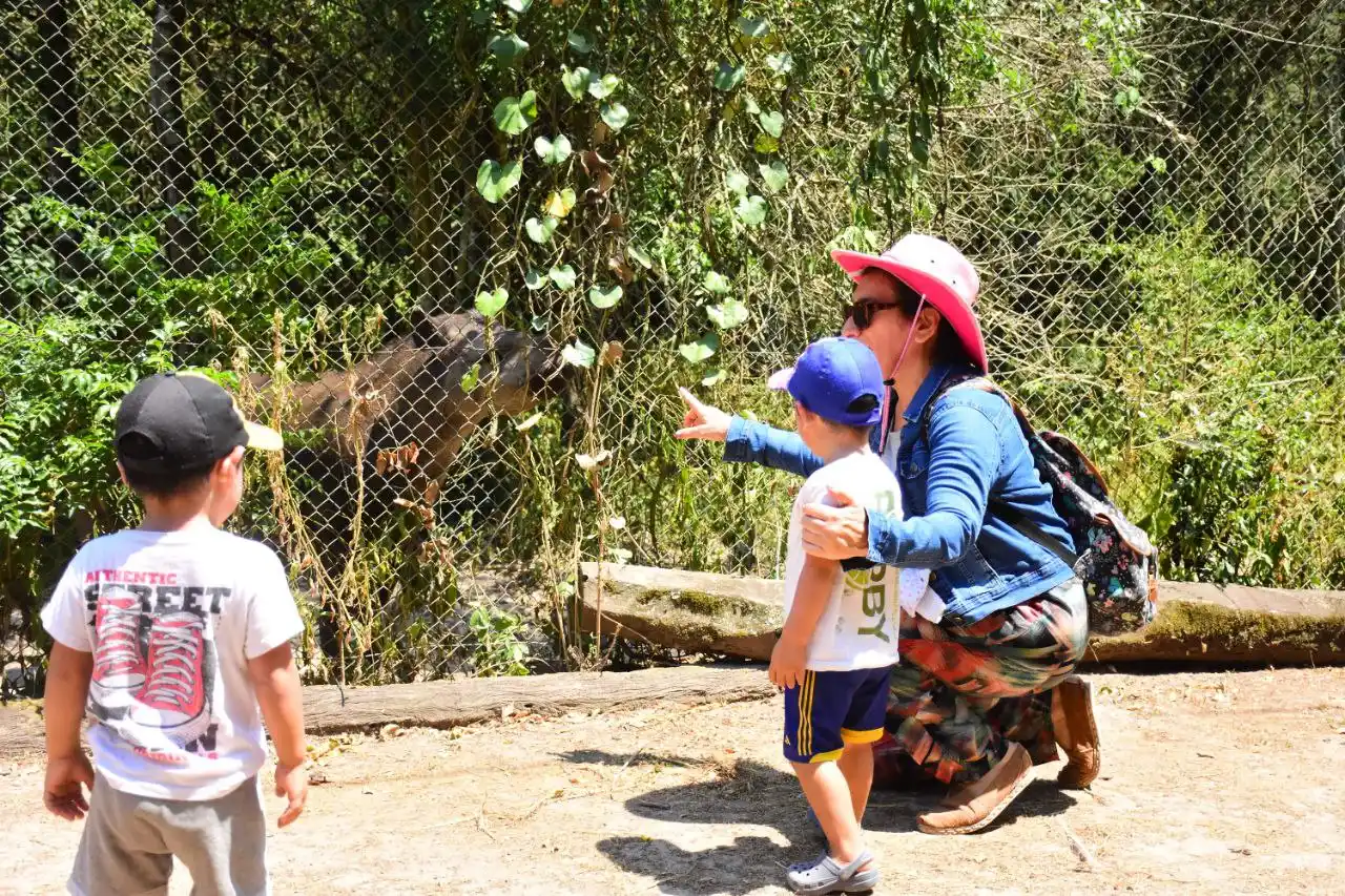 La Reserva Guaycolec suspende sus visitas por tareas de mantenimiento