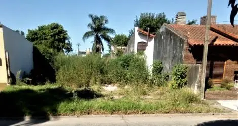 Roberto reclama limpieza en un terreno