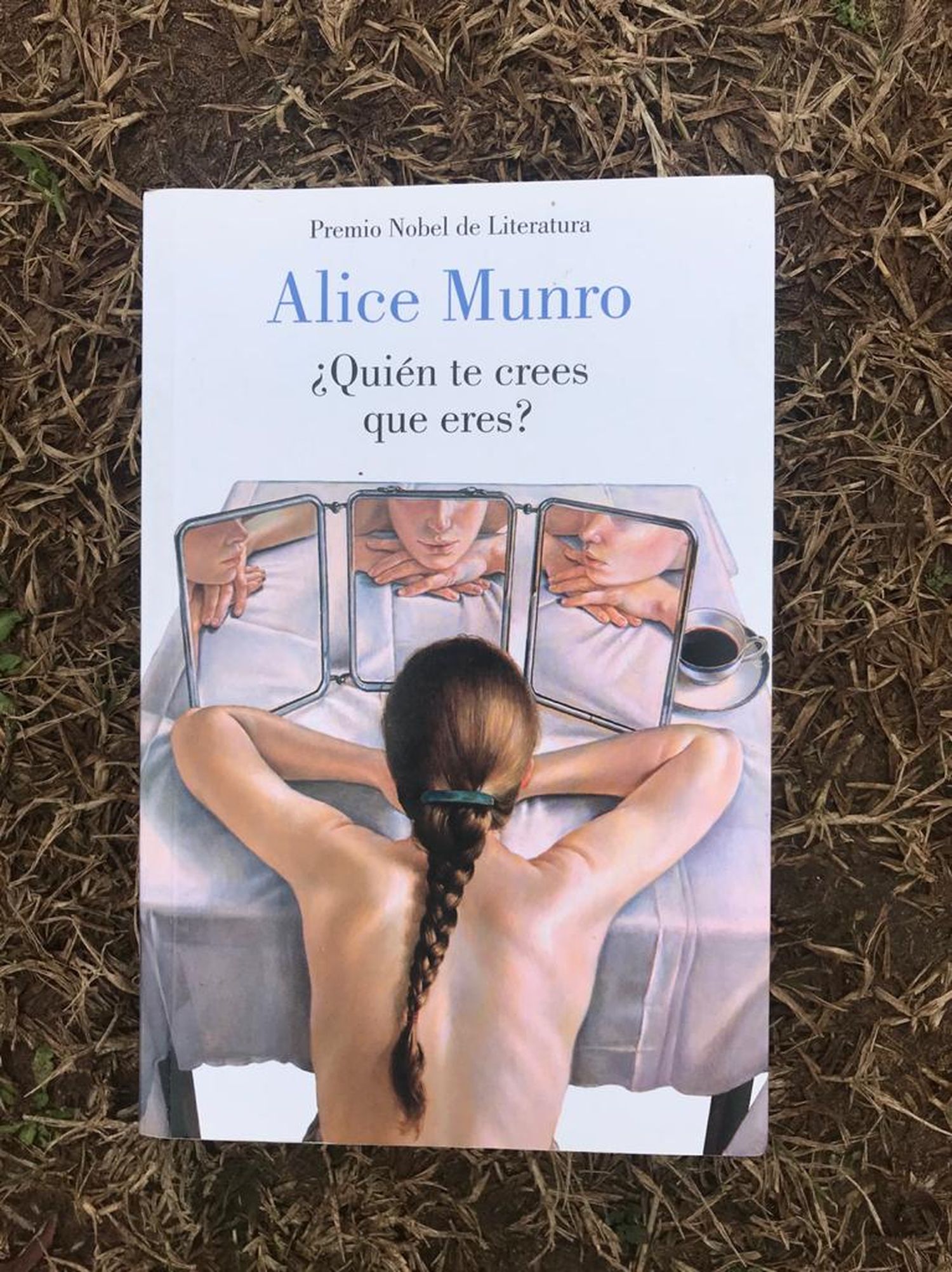 Alice Munro: mucho más que historias cotidianas 