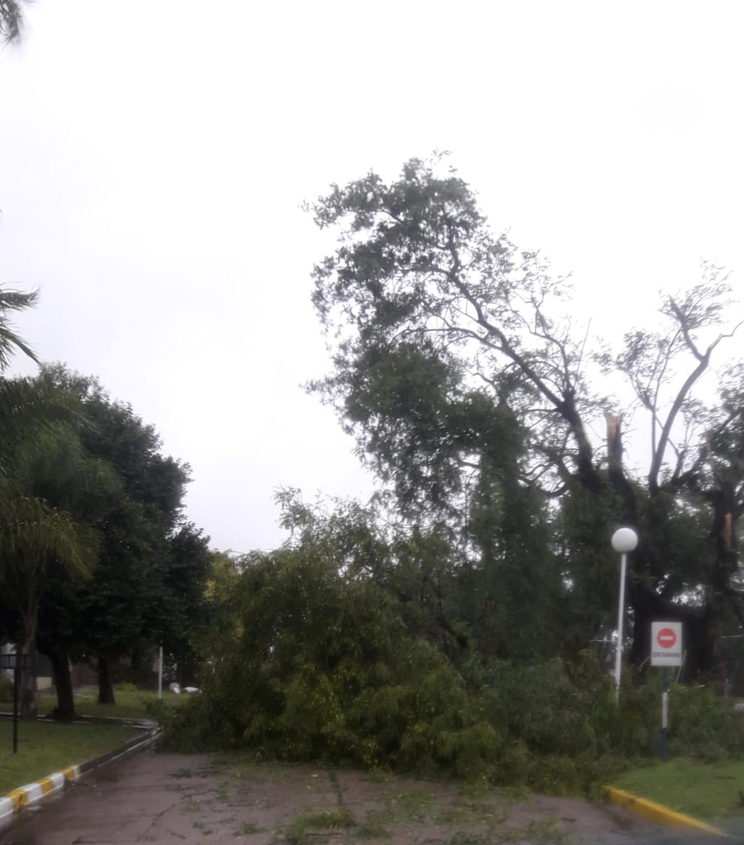 Tormenta lluvia y viento en Entre Ríos enero 2023