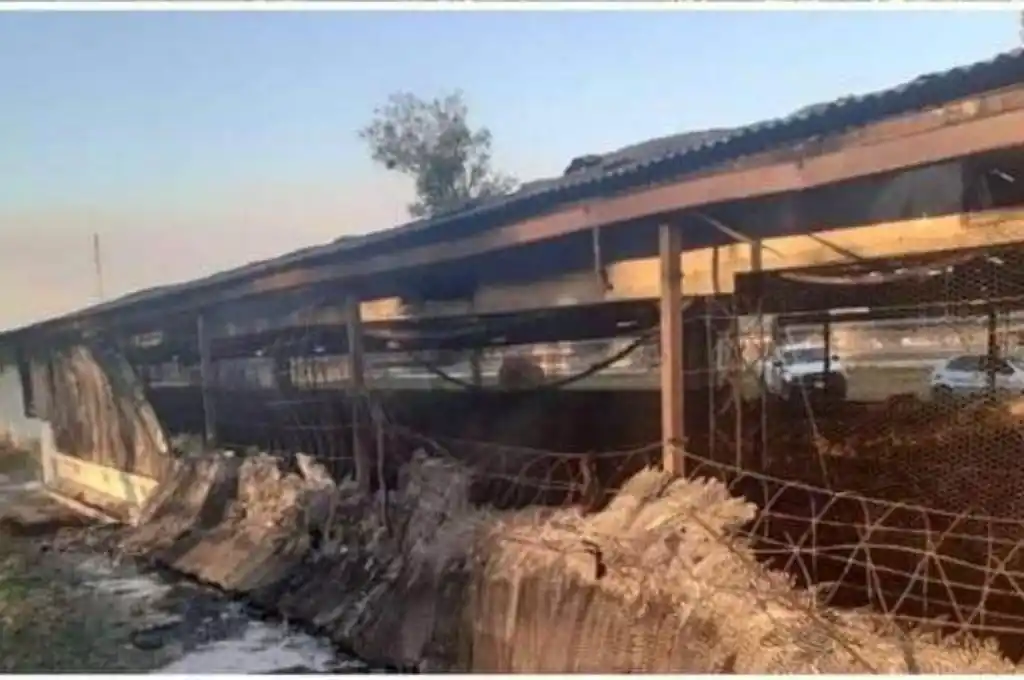 Miles de pollos murieron tras un incendio en Córdoba