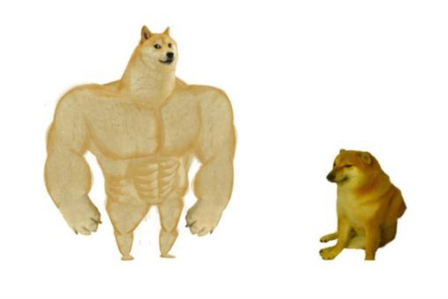 Cuánto pagaron por la foto de "Doge", el famoso perrito del meme