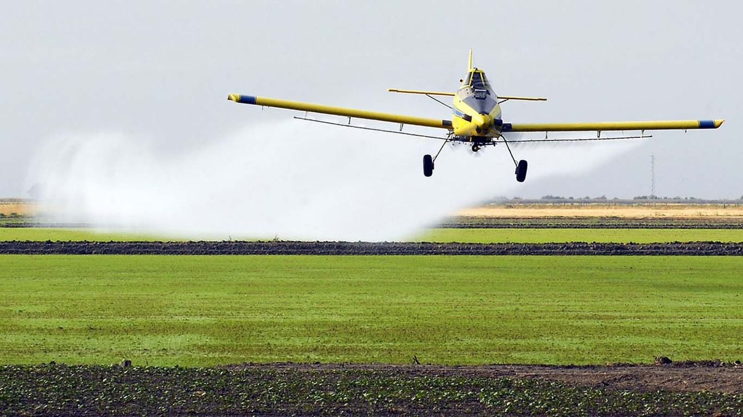 Fumigaciones: Santa Fe ensaya una salida a los agrotóxicos