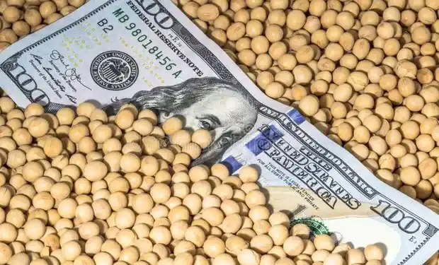 A partir de este lunes: Vuelve el Dólar Soja y esperan sumar US$ 3.000 millones a las reservas y lograr un récord de exportación