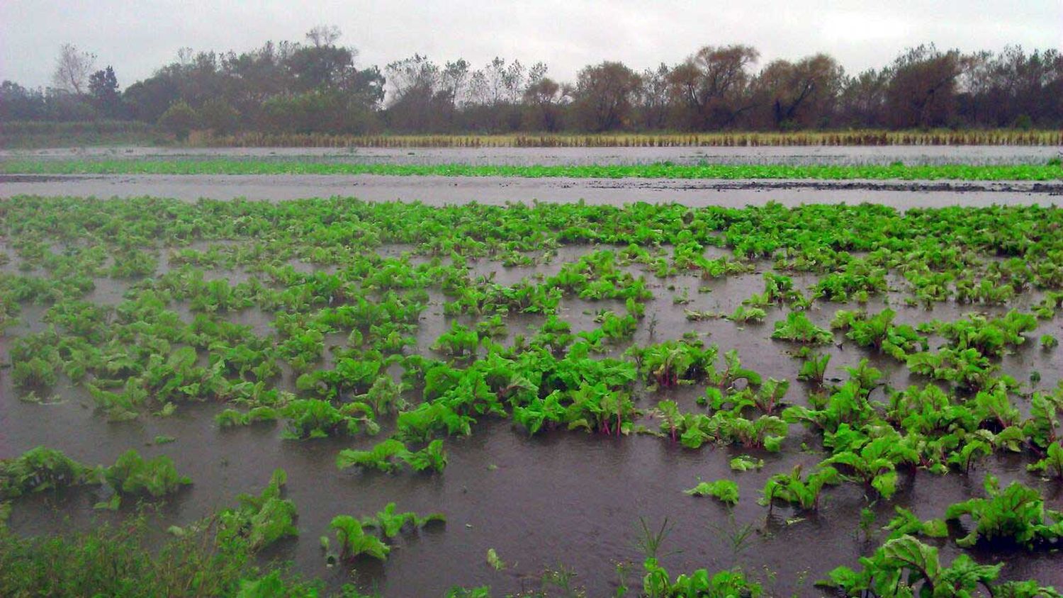 La comuna asegura que la inundación en Laguna de los Padres fue intencional