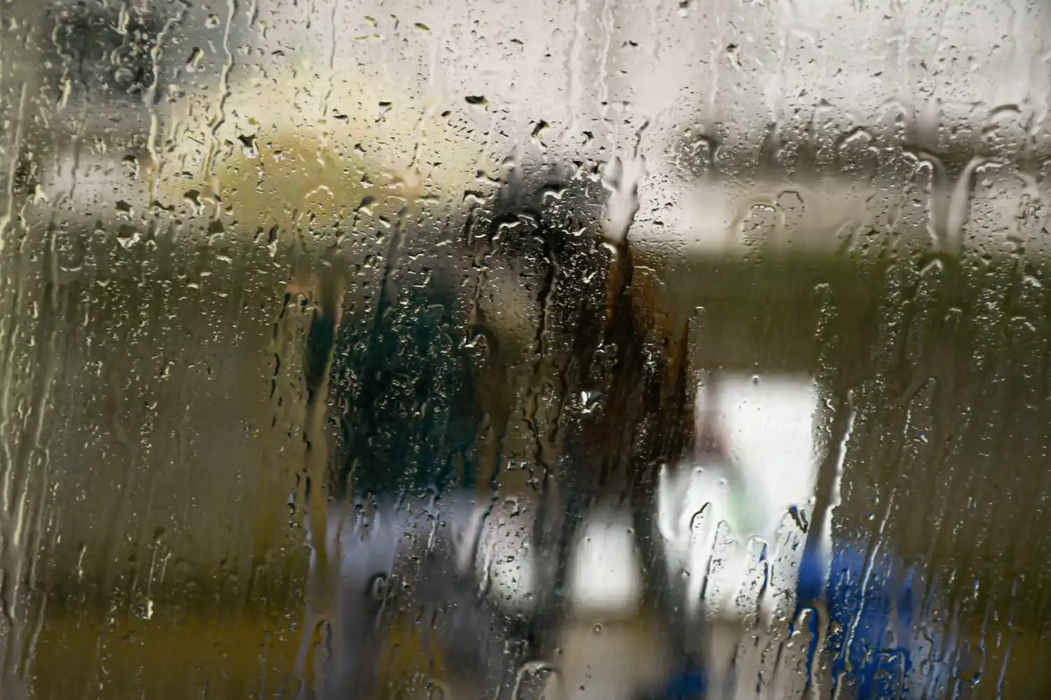 Una tarde de lluvia y frío en la cámara de Agostina Alonso