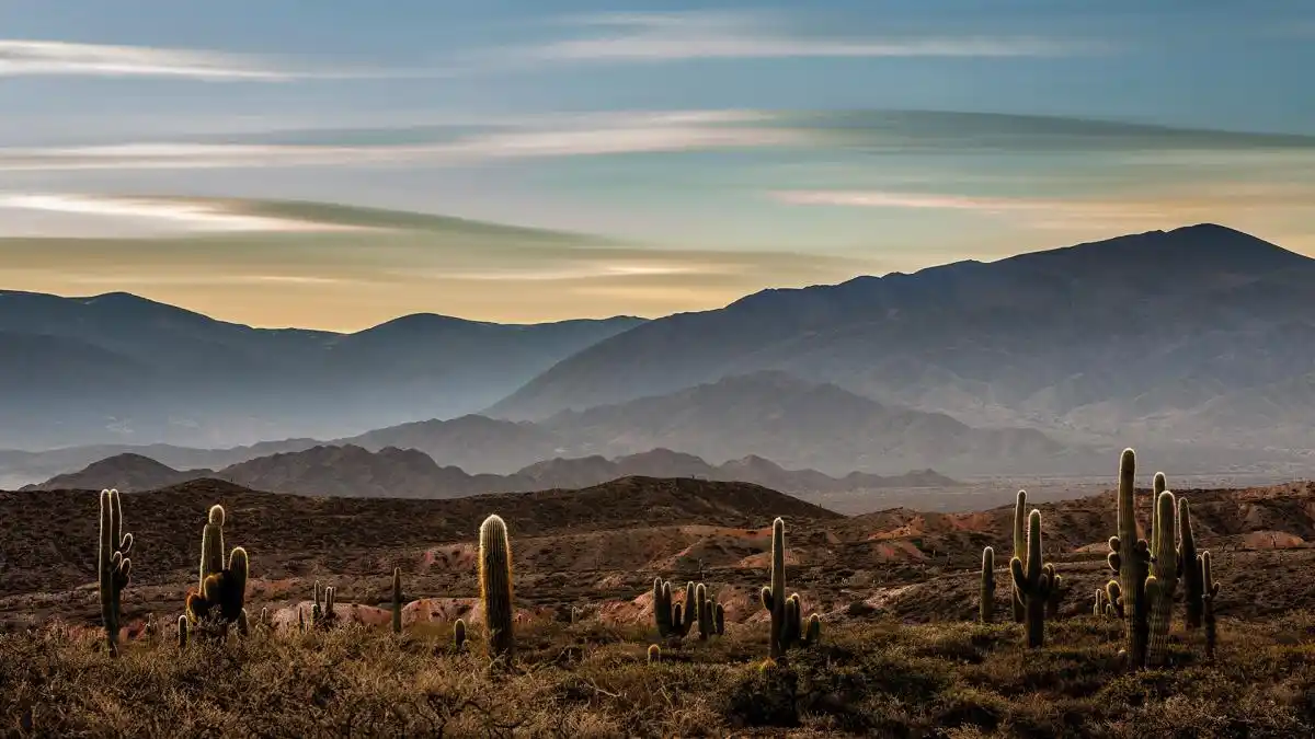libro sobre la flora argentina - 1