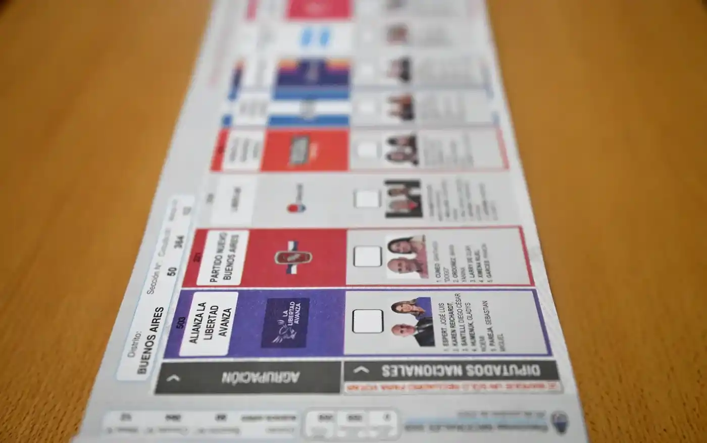 Revés para La Libertad Avanza: el fiscal rechazó reimprimir las boletas en PBA para que no figure la cara de Espert