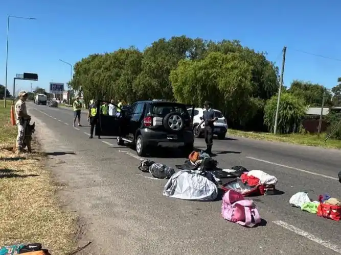 Operativo de control en la Autovía 2: secuestran drogas y detectan una licencia de conducir adulterada.