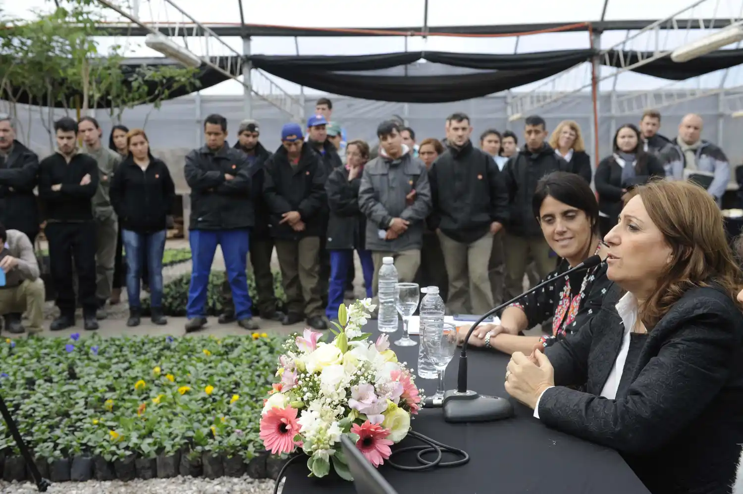 La Municipalidad quiere llegar al millón de árboles en 2030
