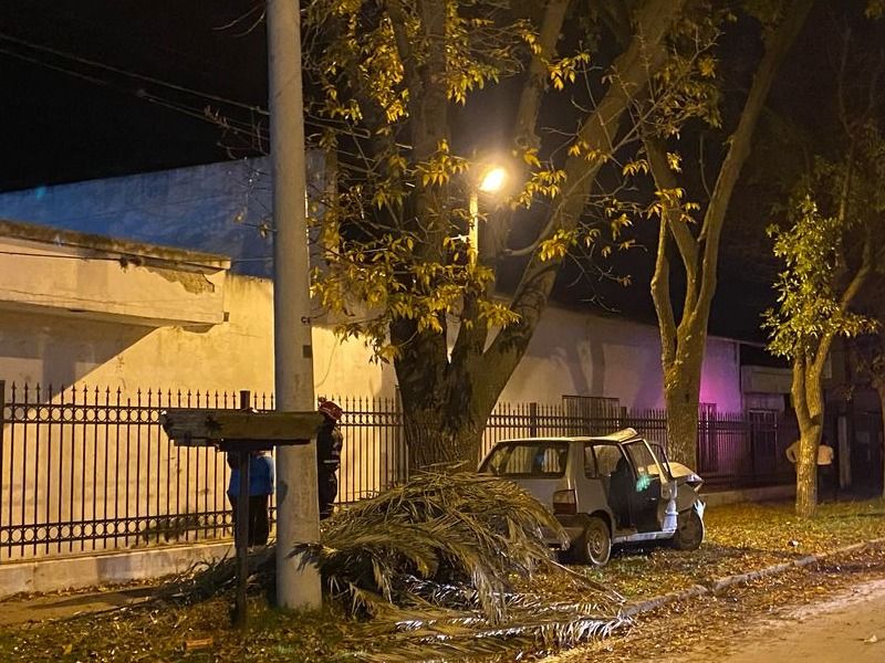 choque auto arbol