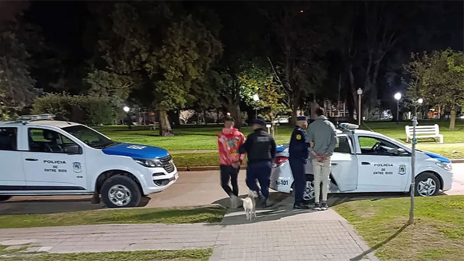 Intentaron robarle a una mujer, pero recibieron una paliza y fueron detenidos