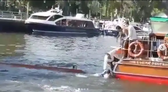 Tigre: una kayakista en grave estado tras ser atropellada por una lancha colectivo