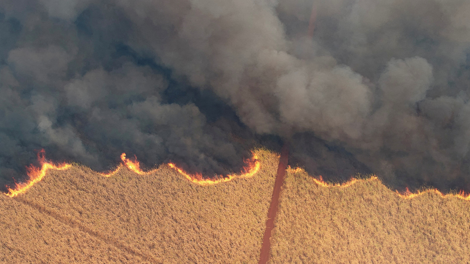 En territorio bonaerense, el humo alcanzará la zona norte de la provincia y el sector del Río de la Plata hasta la zona de La Plata.