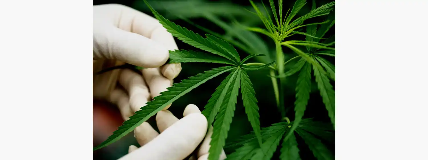 El encuentro será a partir de las 15.30 en la plaza San Martín y finalizará cerca de las 16.30 tras recorrer las calles de la ciudad.