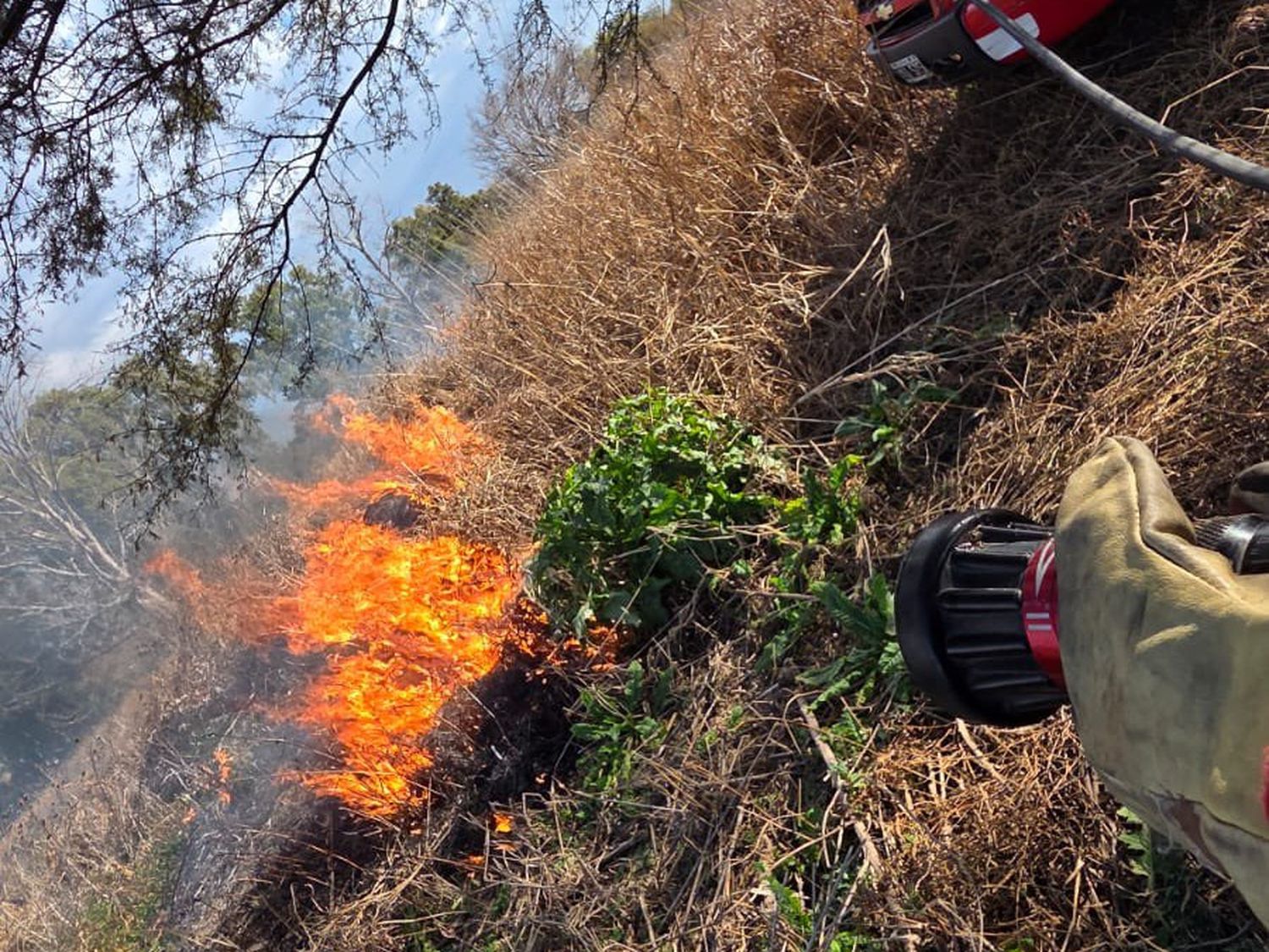Incendio en el Bosque de los Constituyentes
