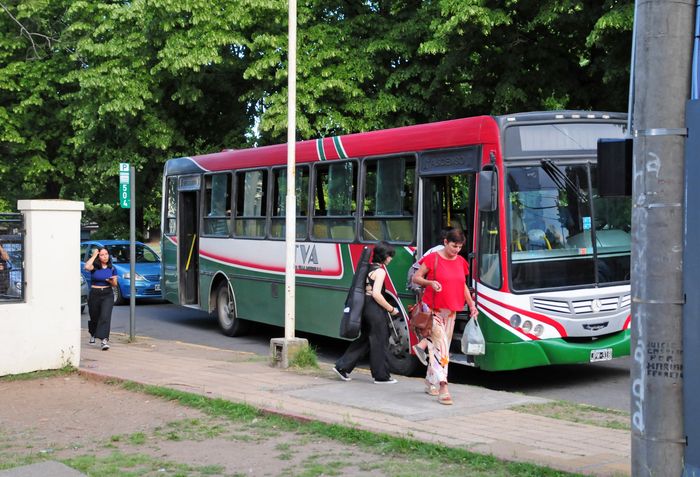El Concejo debate la adjudicación para la concesión del transporte