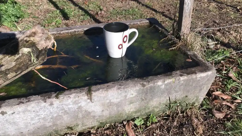 Las mejores imágenes de la helada en Tandil