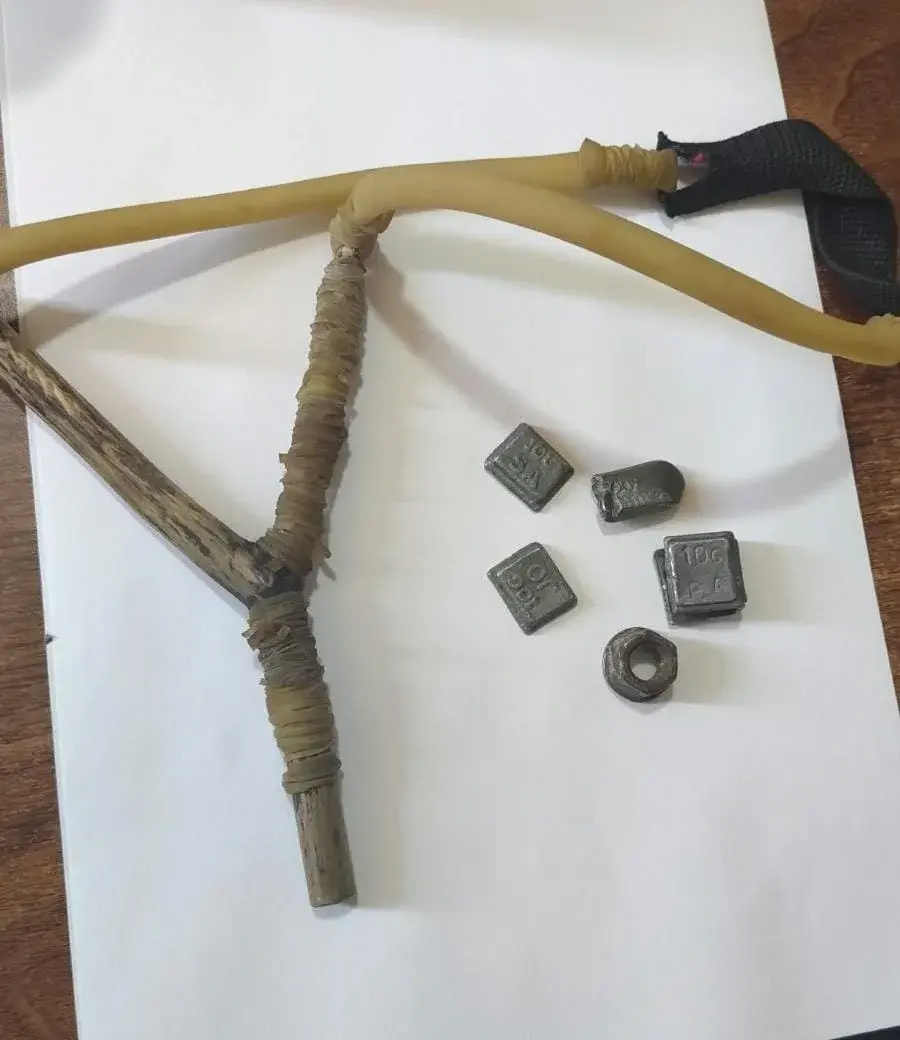 Golpe al delito: secuestraron armas, tumberas y drogas en intensos procedimientos