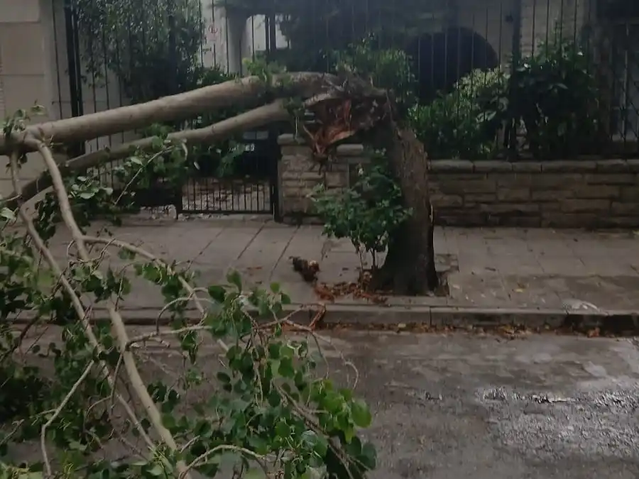 En ese marco, Goncalvez pidió a la población extremar precauciones y evitar circular si no es necesario: “La gente que no tenga que salir, que no salga”.