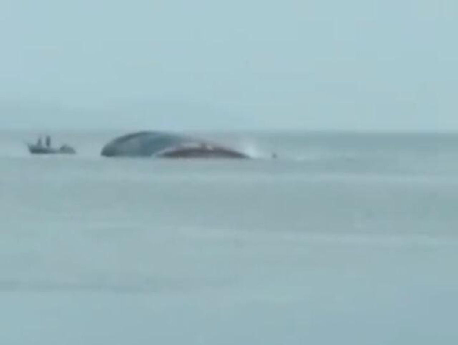 ¡QUERIDO CAPITÁN! Se hundió un barco en Cumaná