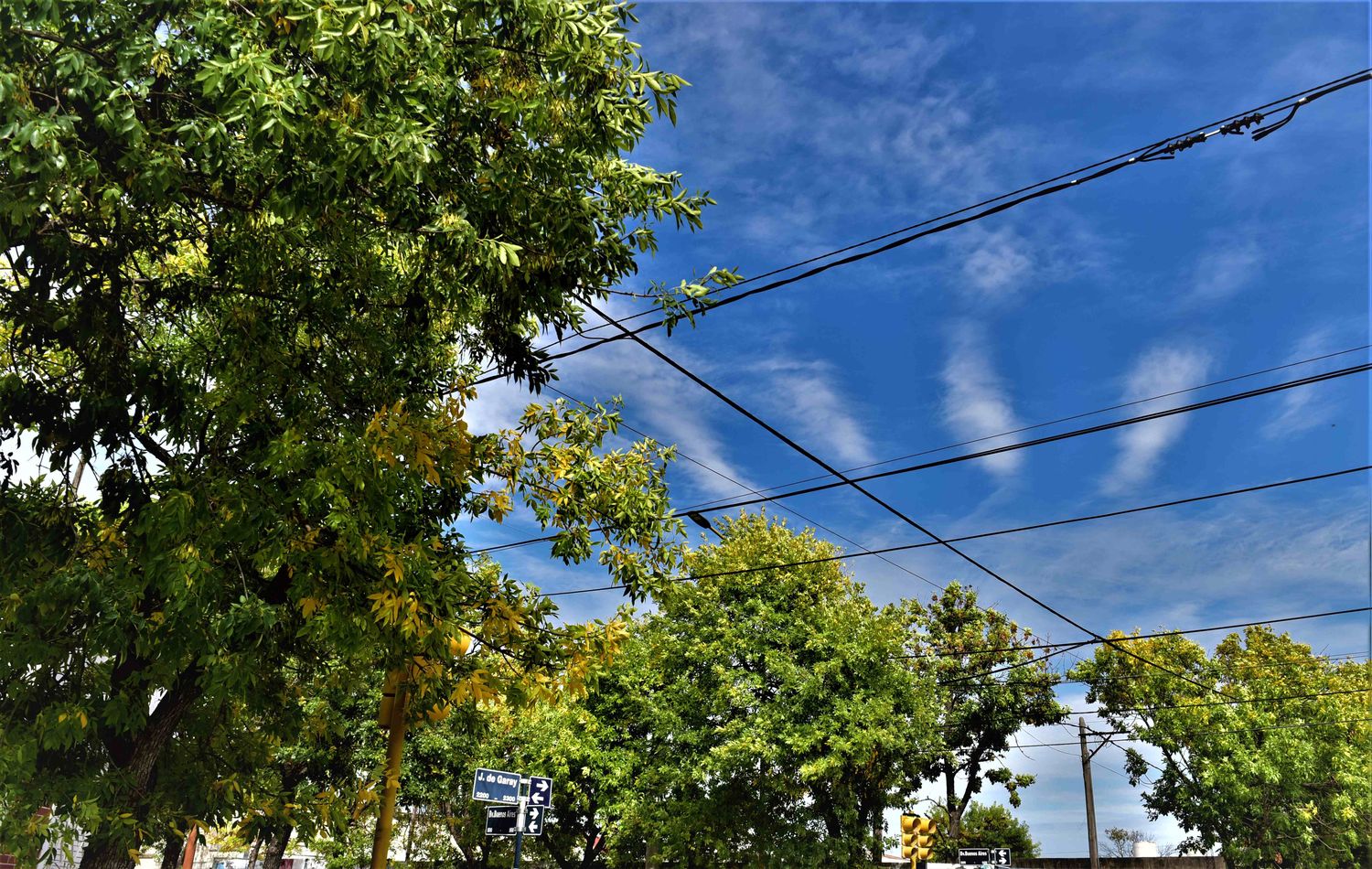 Se espera un cielo despejado, con una máxima de 29 ºC