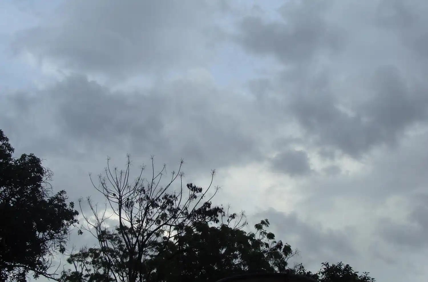 Jueves gris con pronóstico de tormentas aisladas en Rosario