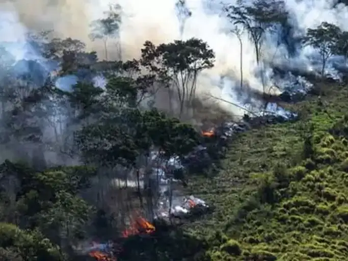 Brasil registra récord histórico de incendios forestales en 2024
