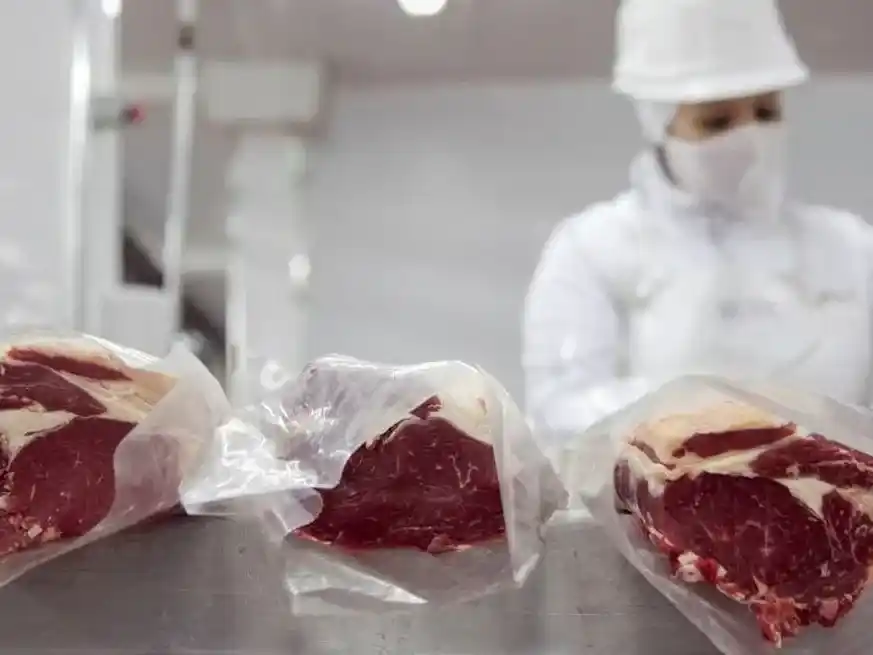 Un acuerdo de libre comercio con el EFTA puede potenciar aún más las exportaciones argentinas al mundo.