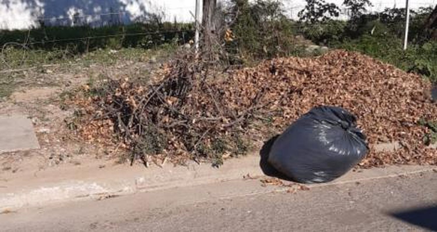 Reclamo por vecinos que tiran basura en un terreno baldío