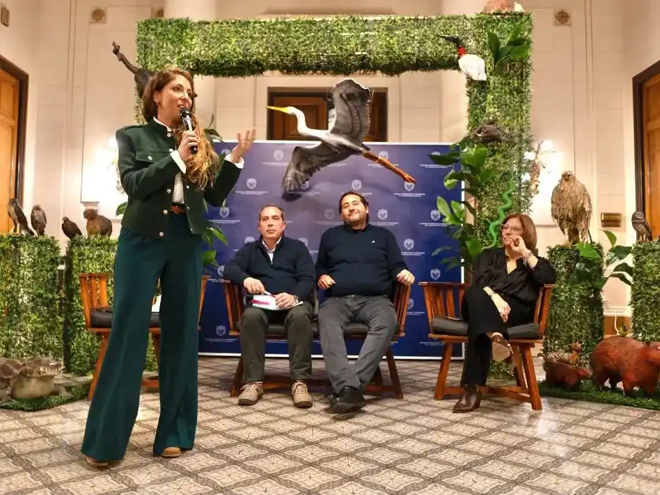 La diputada Sofía Galnares al frente de la iniciativa.