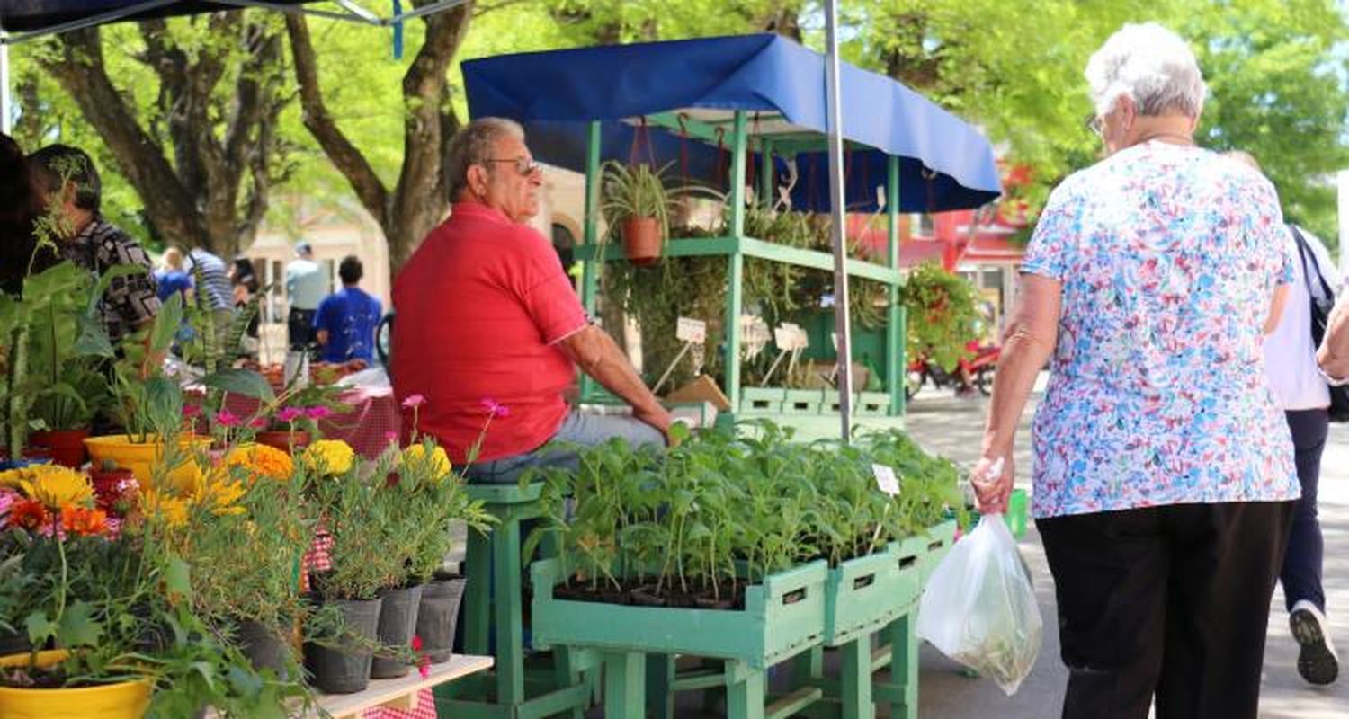Este sábado arranca la temporada 2017 de Frutos de la Tierra y el Río