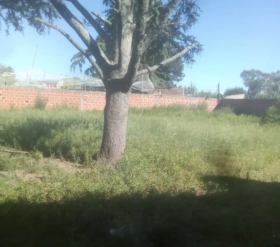 #Reclamo: “¿Quién tiene que cortar el pasto en la escuela 47?”