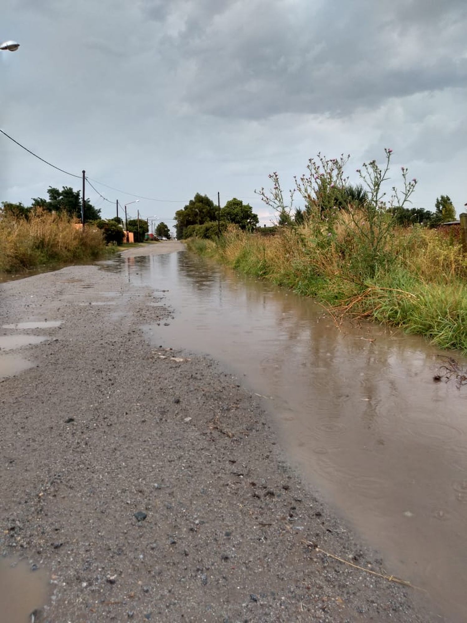 Cayeron 16 milímetros  en el centro de Tandil