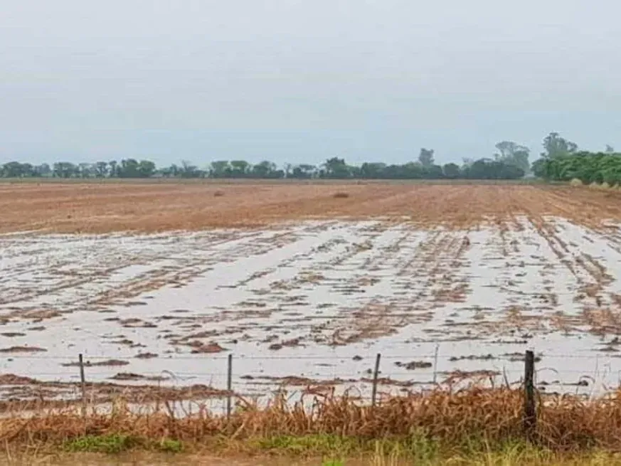 Las lluvias alcanzaron a gran parte de Santa Fe, Entre Ríos, el este de Córdoba y sectores de Chaco, consolidando un invierno atípico por la abundancia de agua.