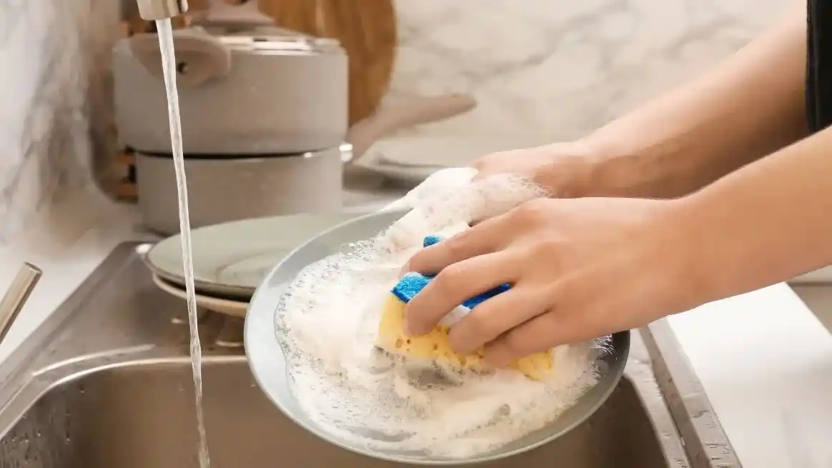 La investigación comenzó con una denuncia recibida por el Servicio de Domisanitarios de la Anmat