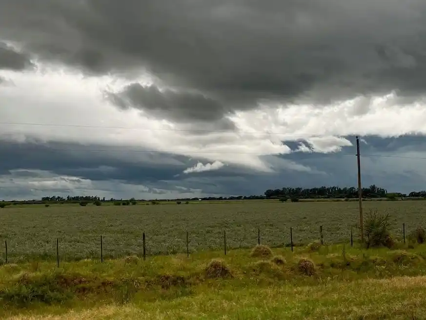 En Rosario y alrededores las lluvias se dieron de manera mucho más tranquila.