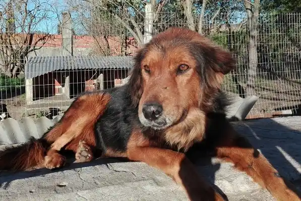 Desde Patitas alertan una situación límite y reclaman mayor ayuda del Municipio