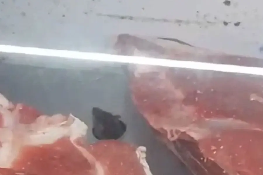 VIDEO | Filmaron una rata entre la carne en un supermercado: hubo multa y decomiso