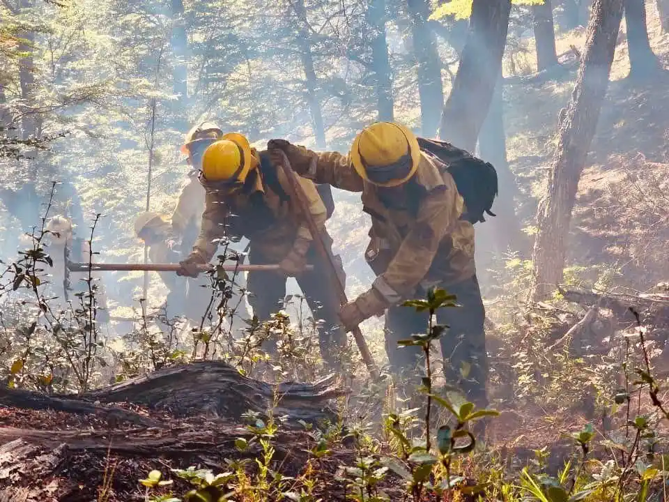 Los brigadistas que fueron enviados a Chubut para controlas los incendios ya regresaron a Santa Fe.