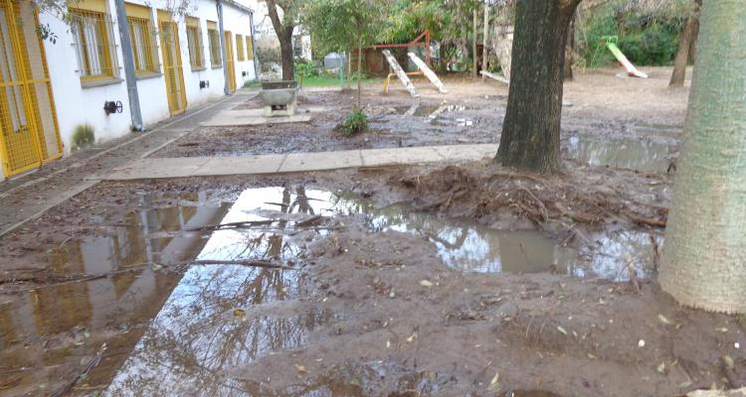 Con la renuncia de Paladini,  intenso trabajo en el Consejo Escolar