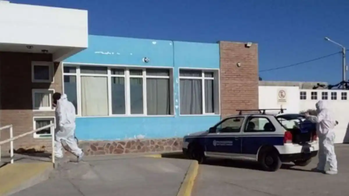 Tragedia en Chubut: murió un niño que jugaba con una soga en un árbol