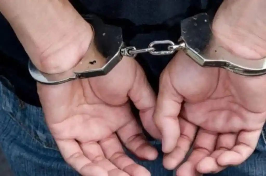 Hallaron muerta a puñaladas en su casa a una anciana: detienen a su hijo