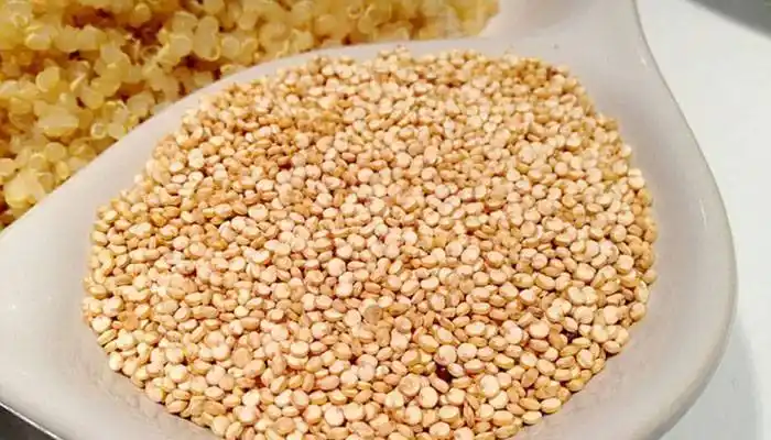De quinoa, con mucha fibra  y apto para personas con celiaquía