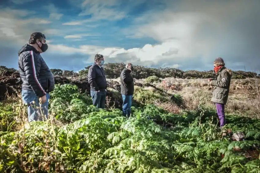 Preocupan los "basurales a cielo abierto" en General Pueyrredon
