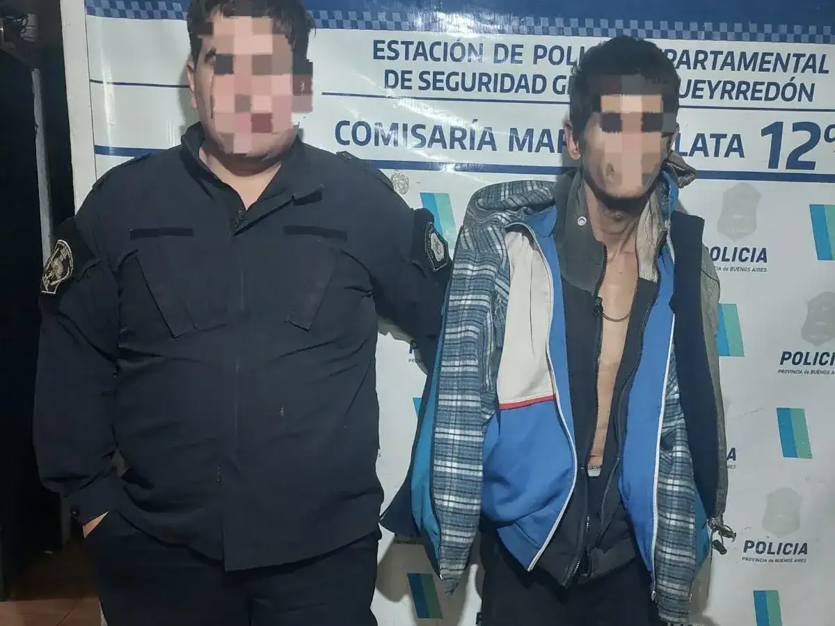 Entró a un comercio, intentó esconderse en un baldío y terminó detenido
