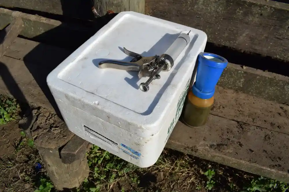 Aftosa: se desató la “guerra” entre laboratorios dejando al productor como botín